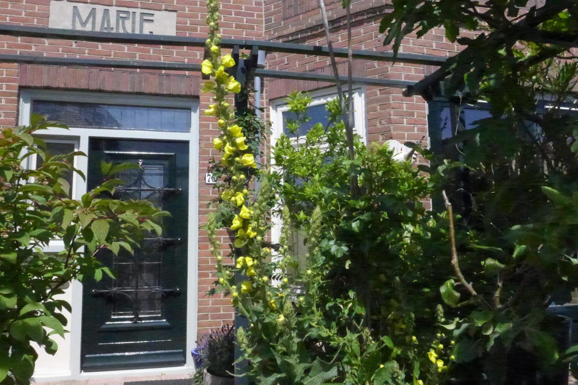 Family Home Marie Zandvoort Ngoại thất bức ảnh