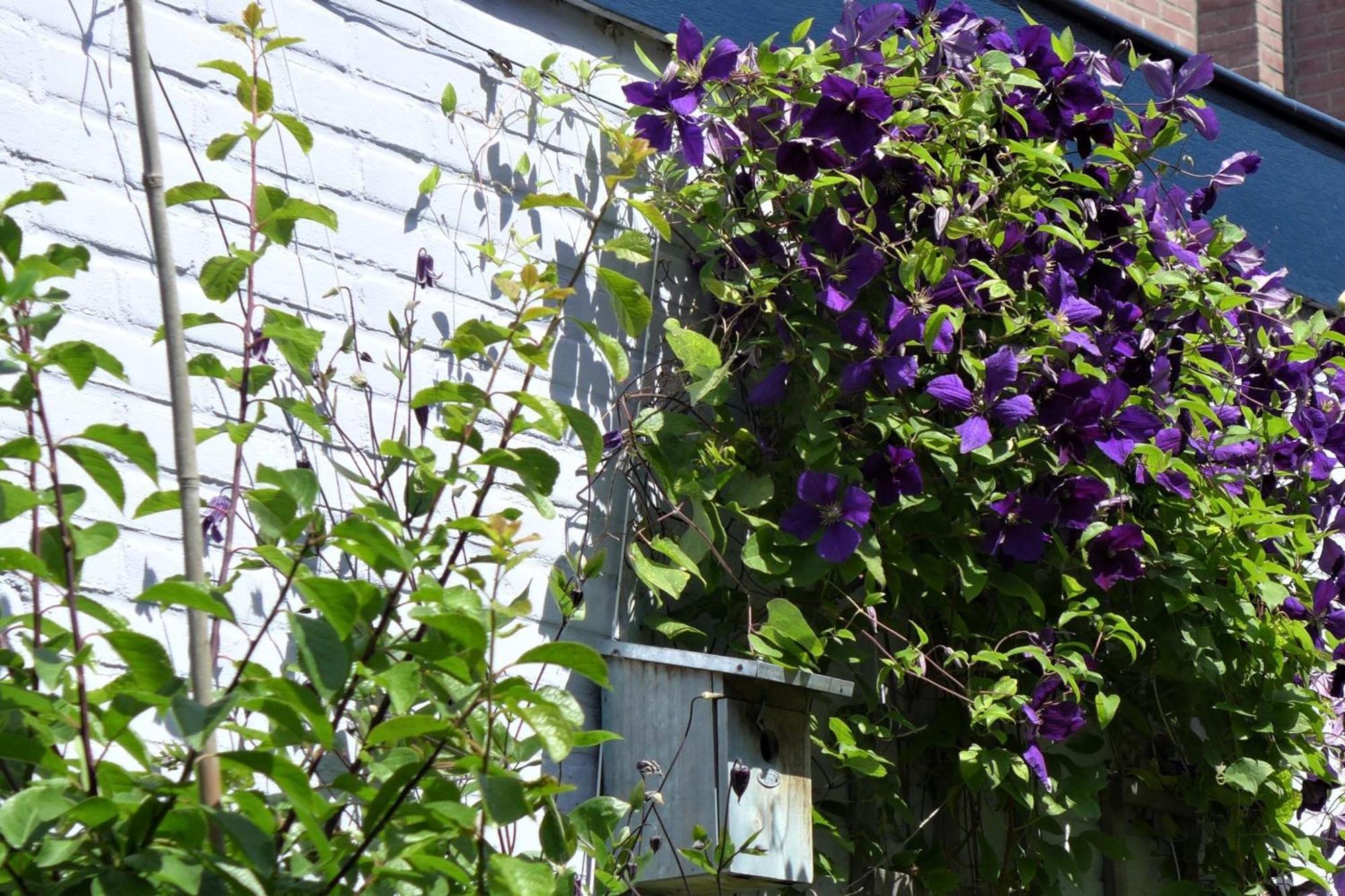 Family Home Marie Zandvoort Ngoại thất bức ảnh